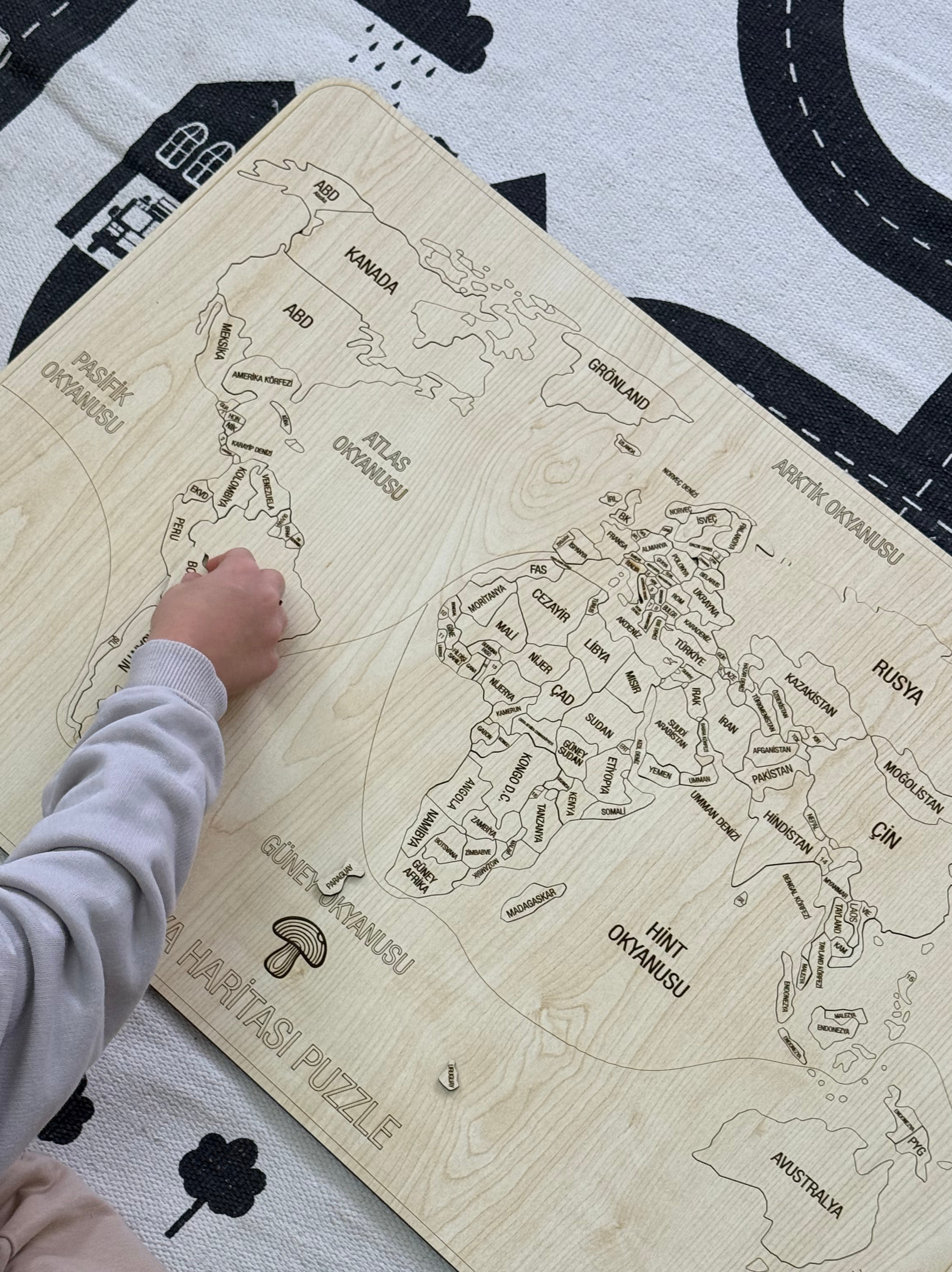 Dünya Haritası Puzzle