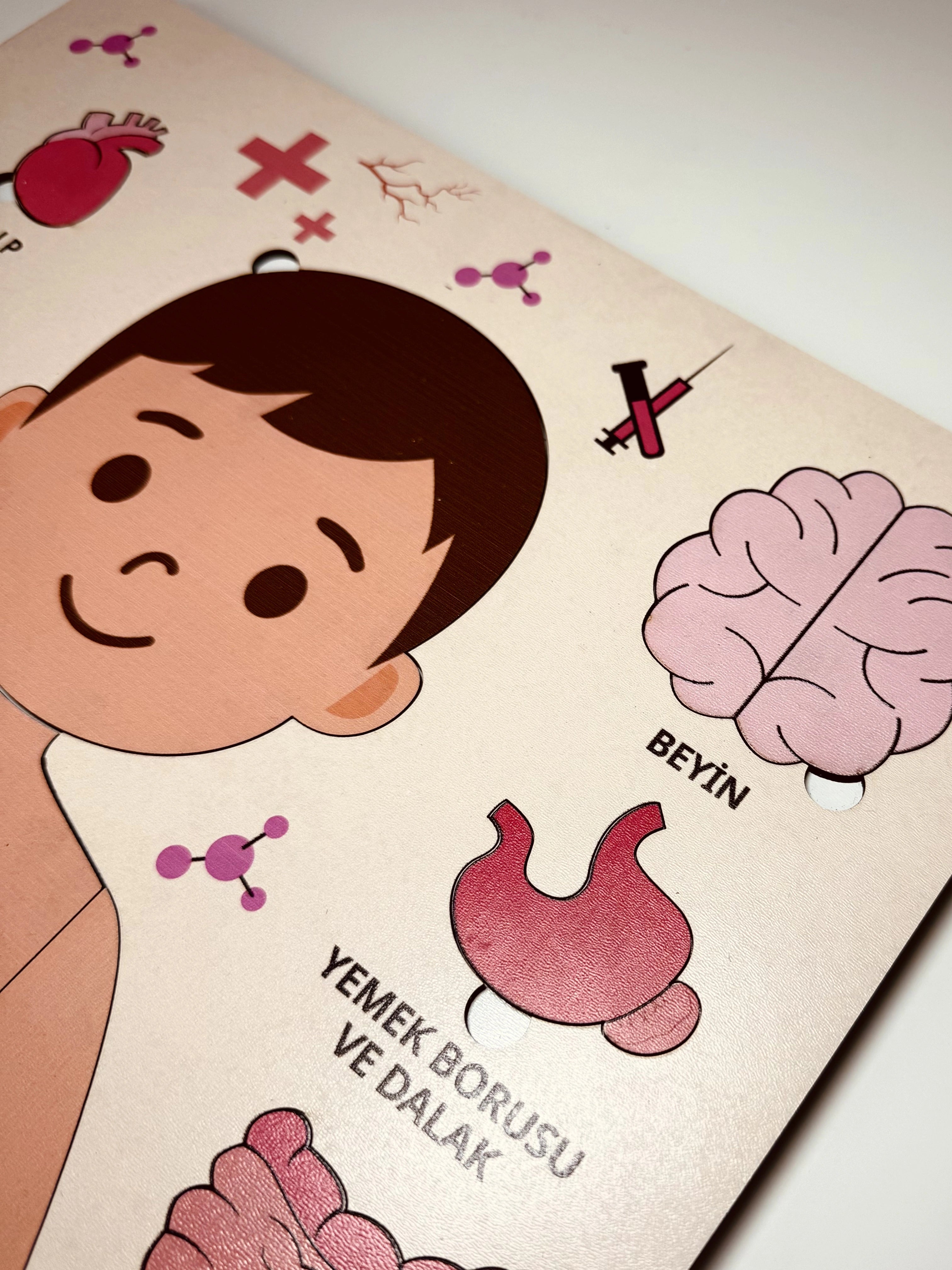 Montessori Çocuk Anatomi Puzzle'ı