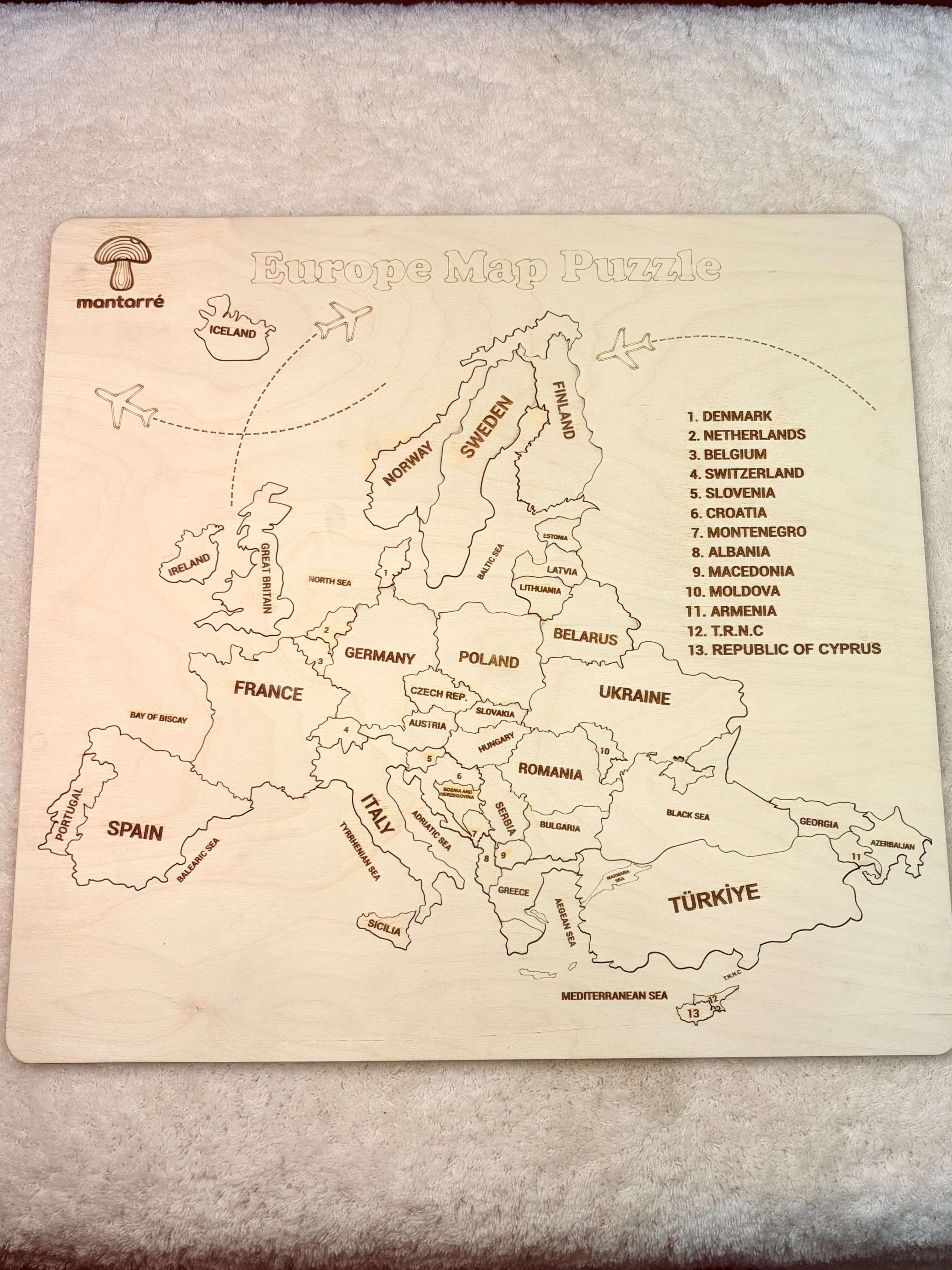 Avrupa Haritası Puzzle