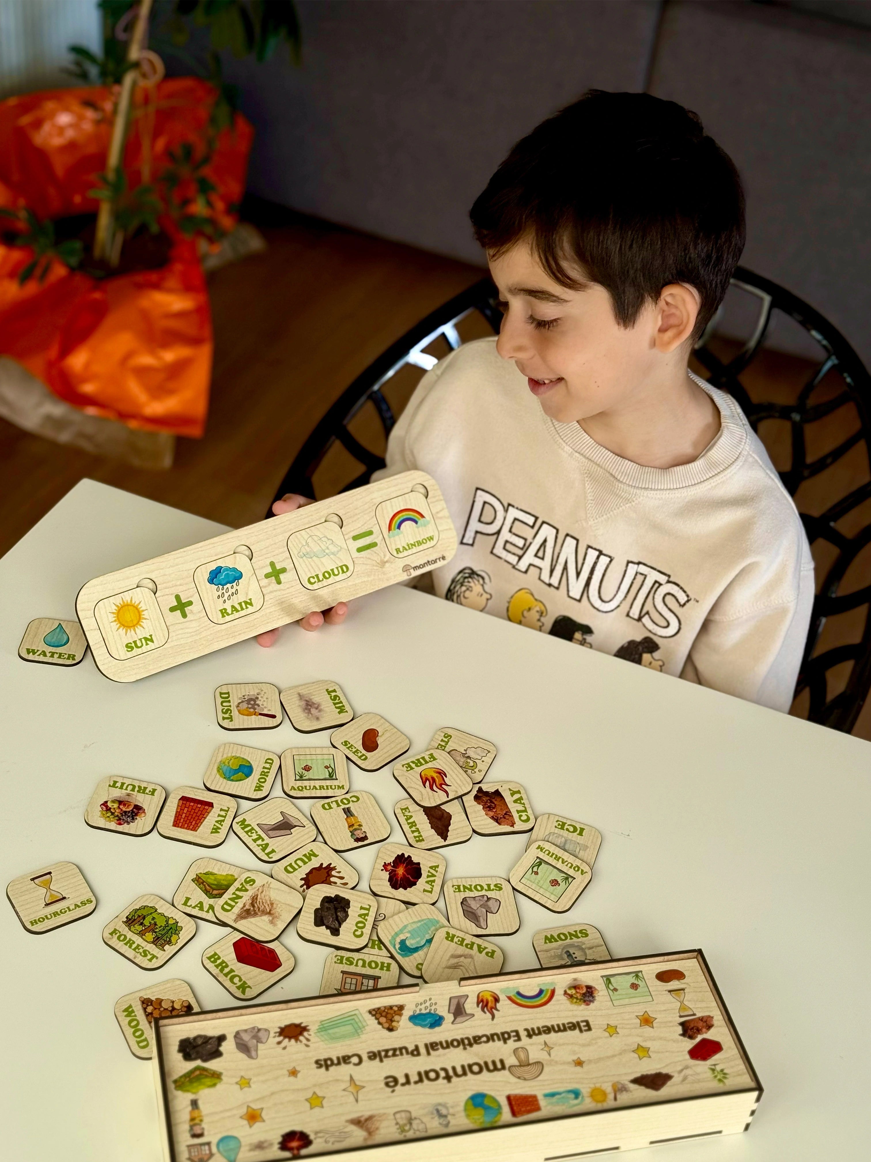 Montessori Element Birleştirme ve Mantık Oyunu