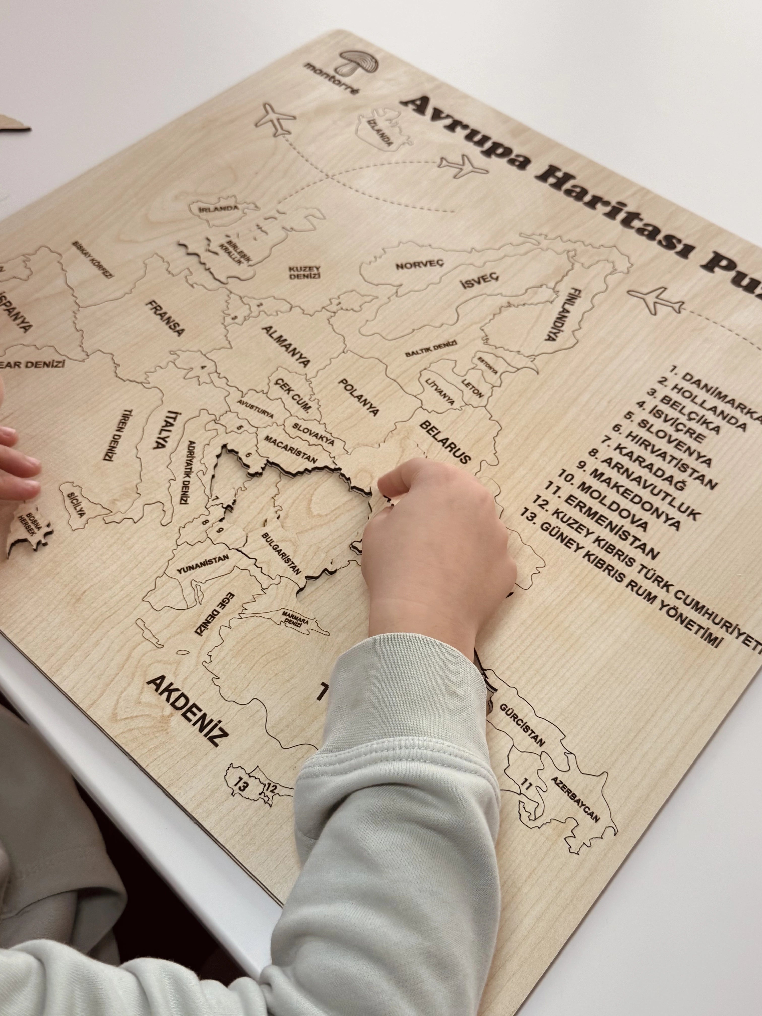 Avrupa Haritası Puzzle