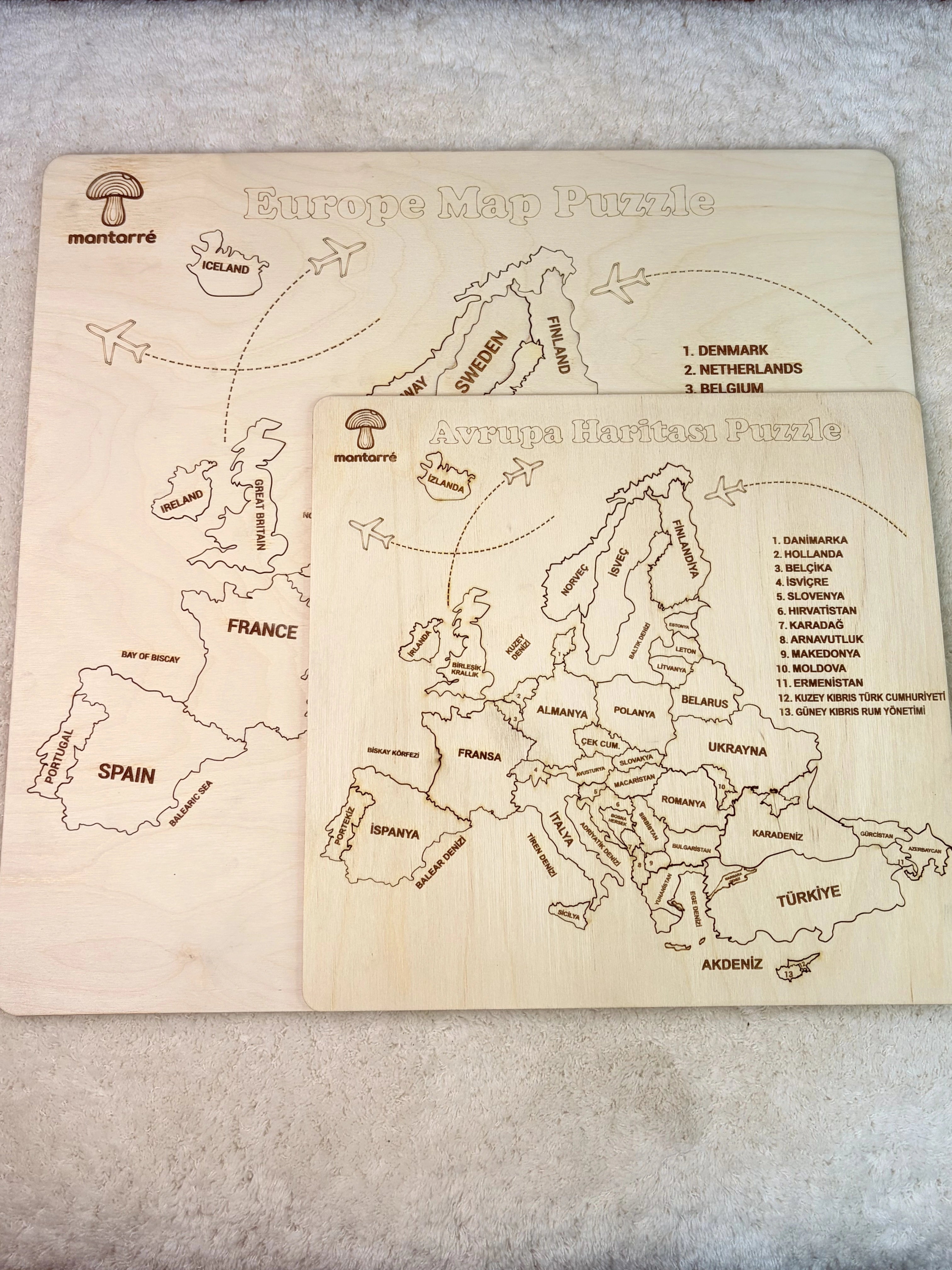 Avrupa Haritası Puzzle