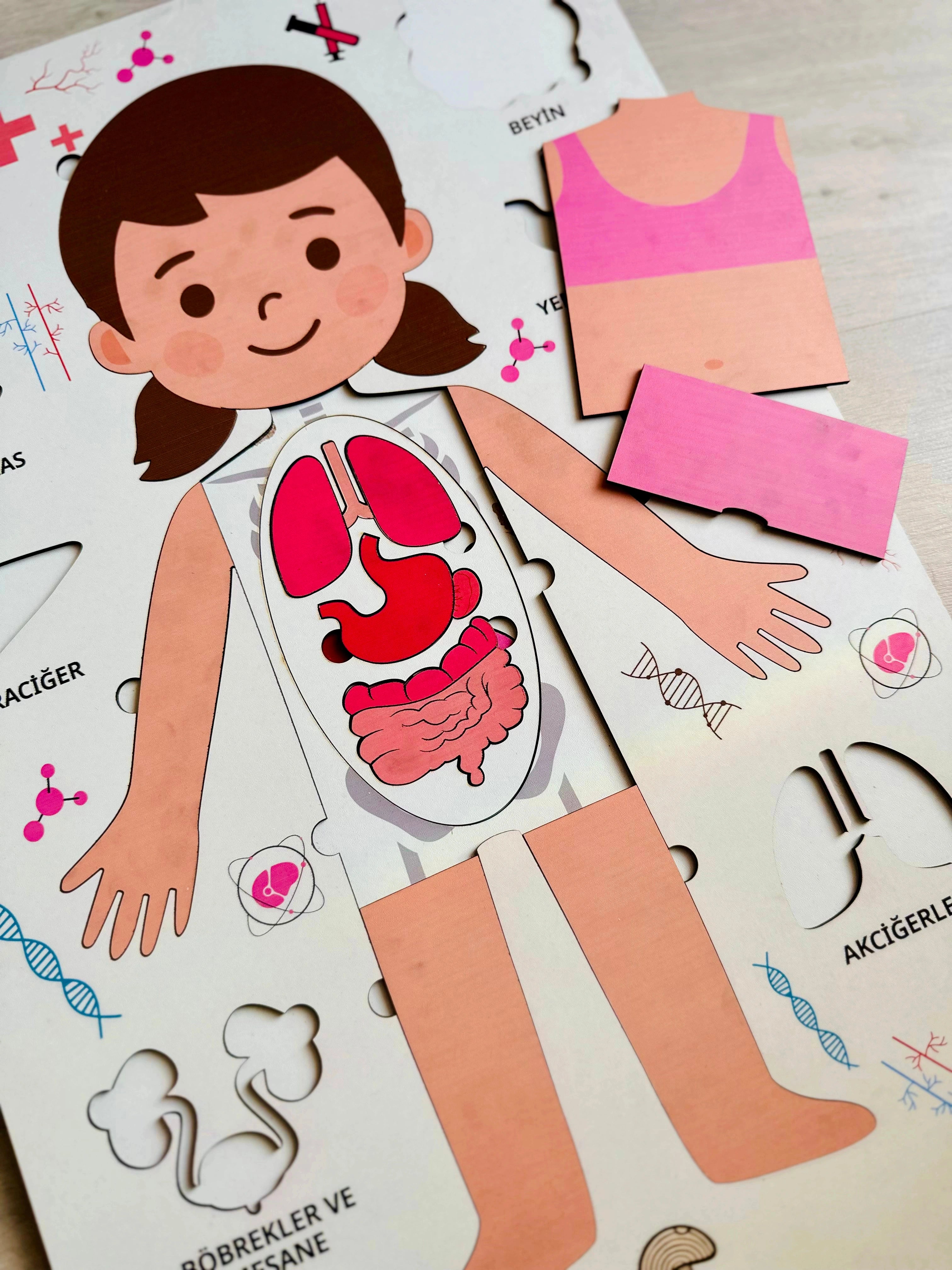 Montessori Çocuk Anatomi Puzzle'ı