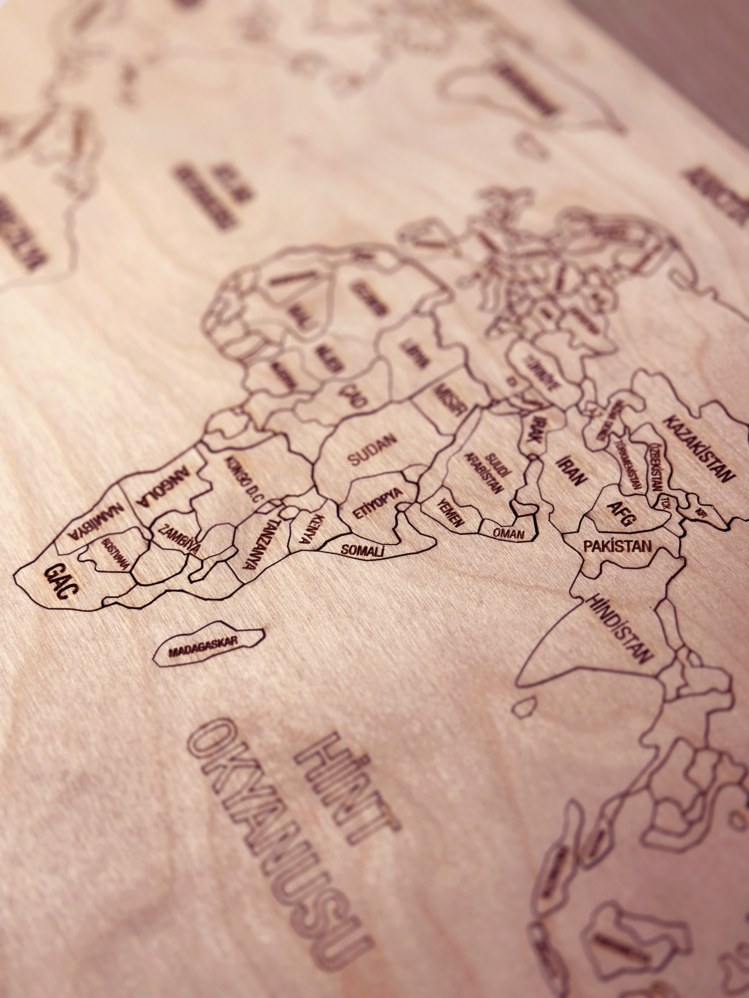 Dünya Haritası Puzzle