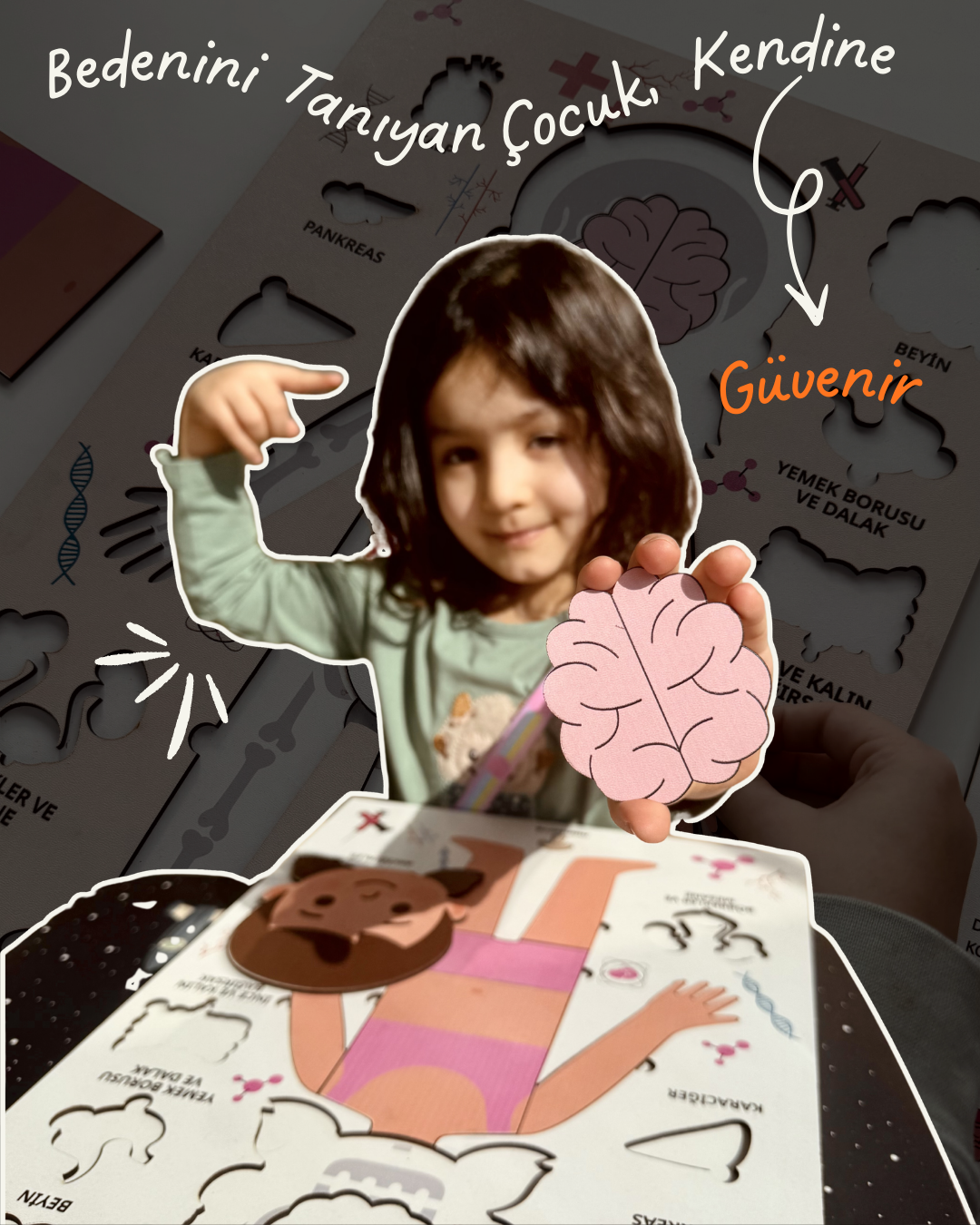 Montessori Çocuk Anatomi Puzzle'ı