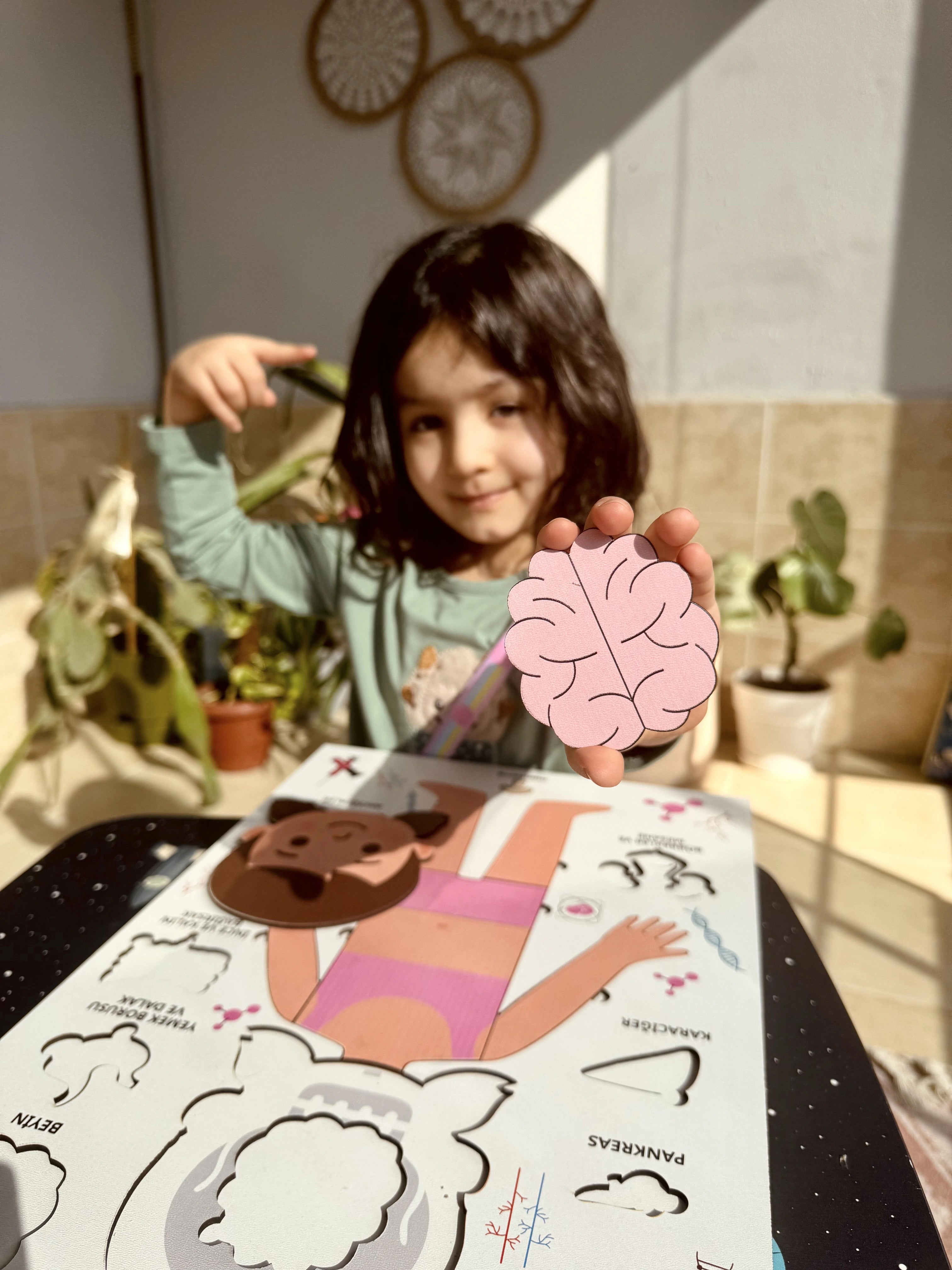 Montessori Çocuk Anatomi Puzzle'ı