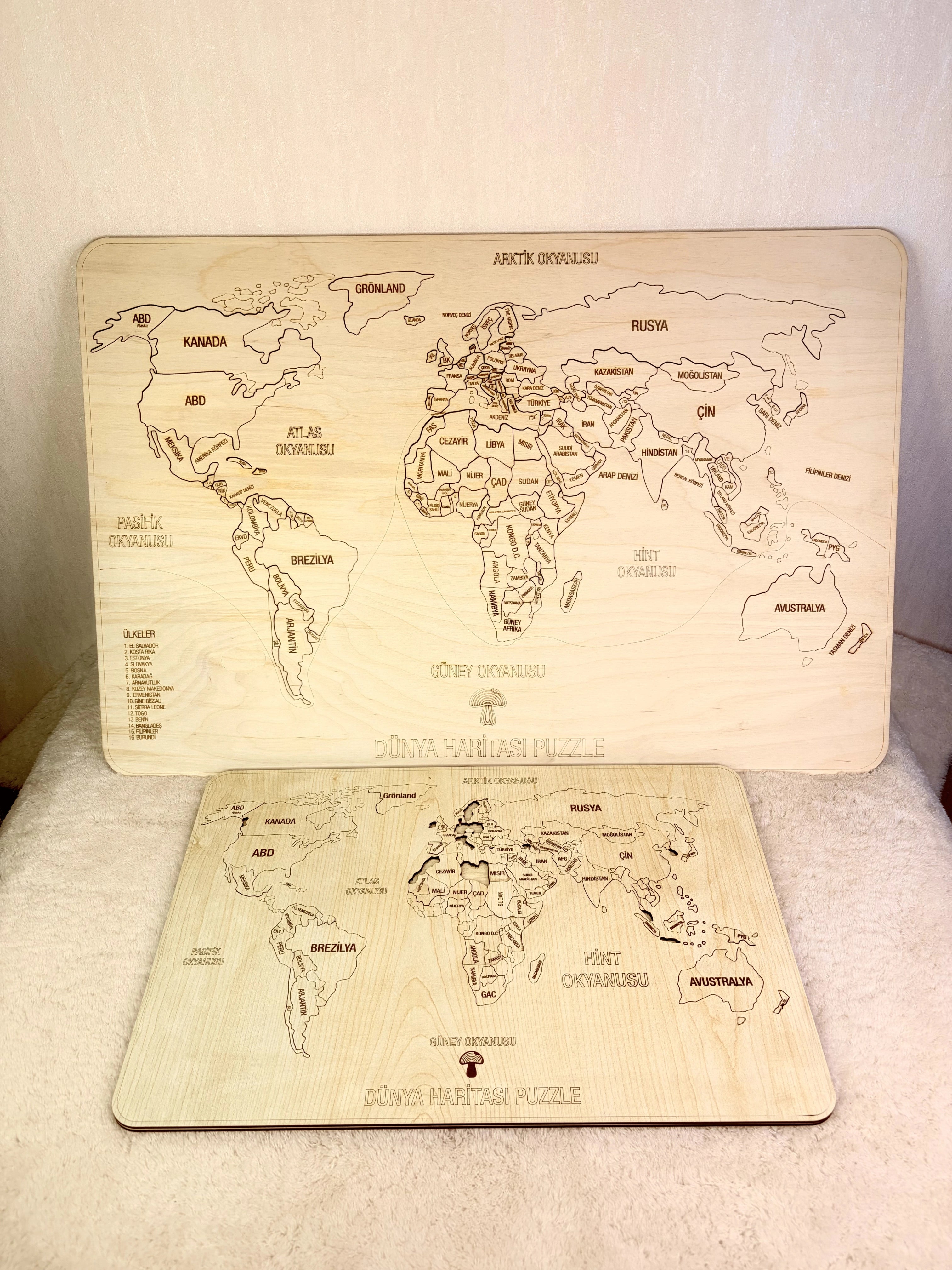 Dünya Haritası Puzzle