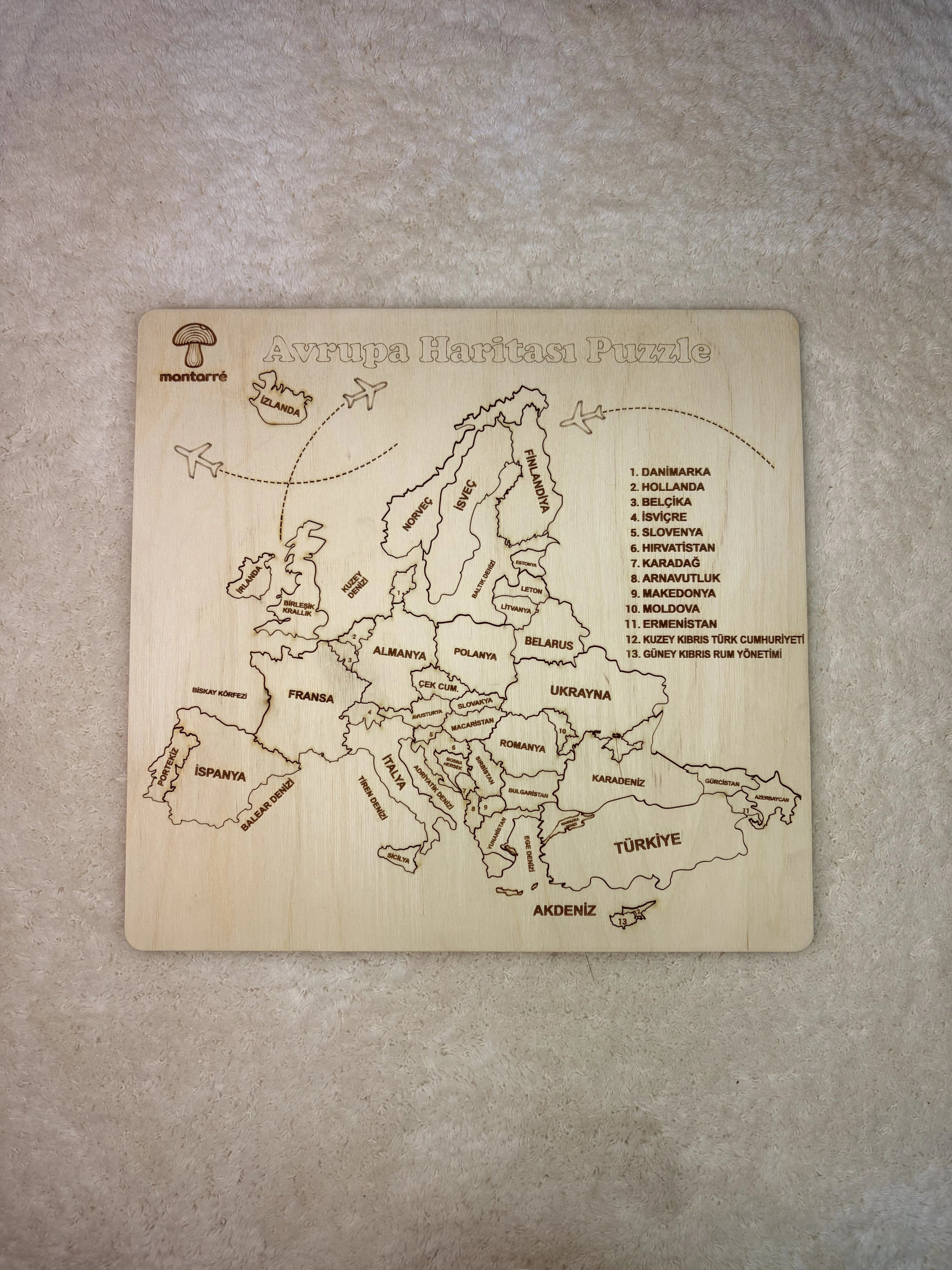 Avrupa Haritası Puzzle