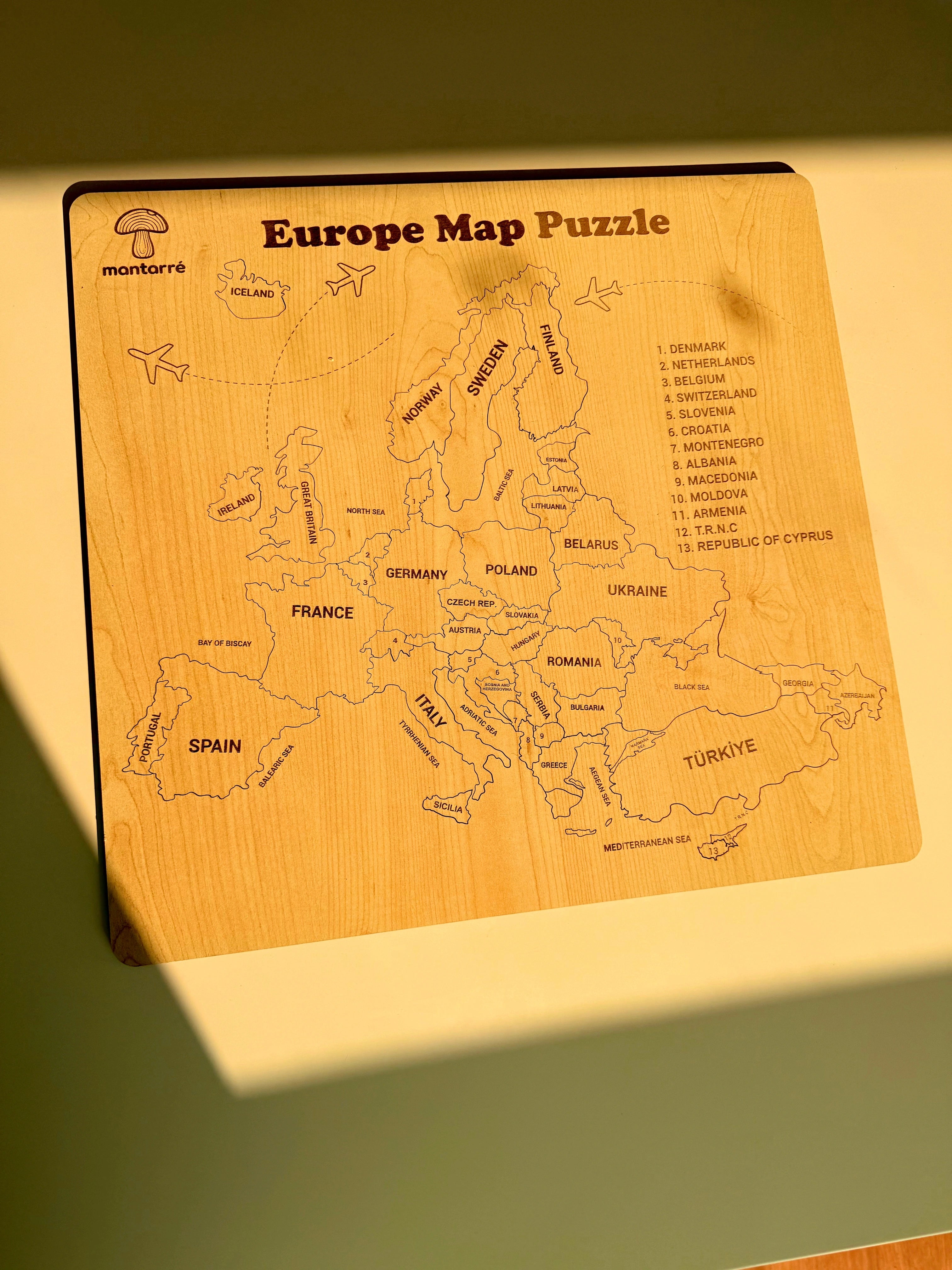 Avrupa Haritası Puzzle