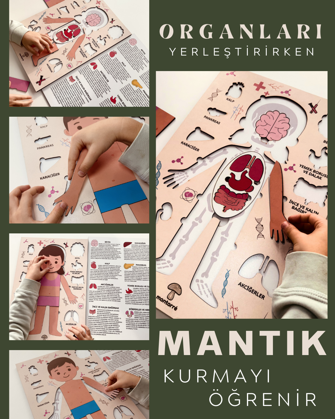Montessori Çocuk Anatomi Puzzle'ı