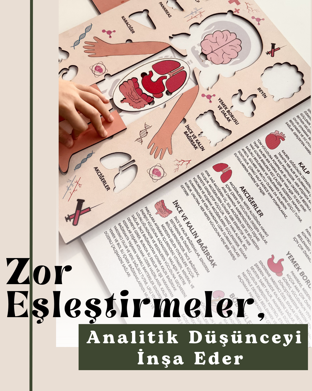 Montessori Çocuk Anatomi Puzzle'ı