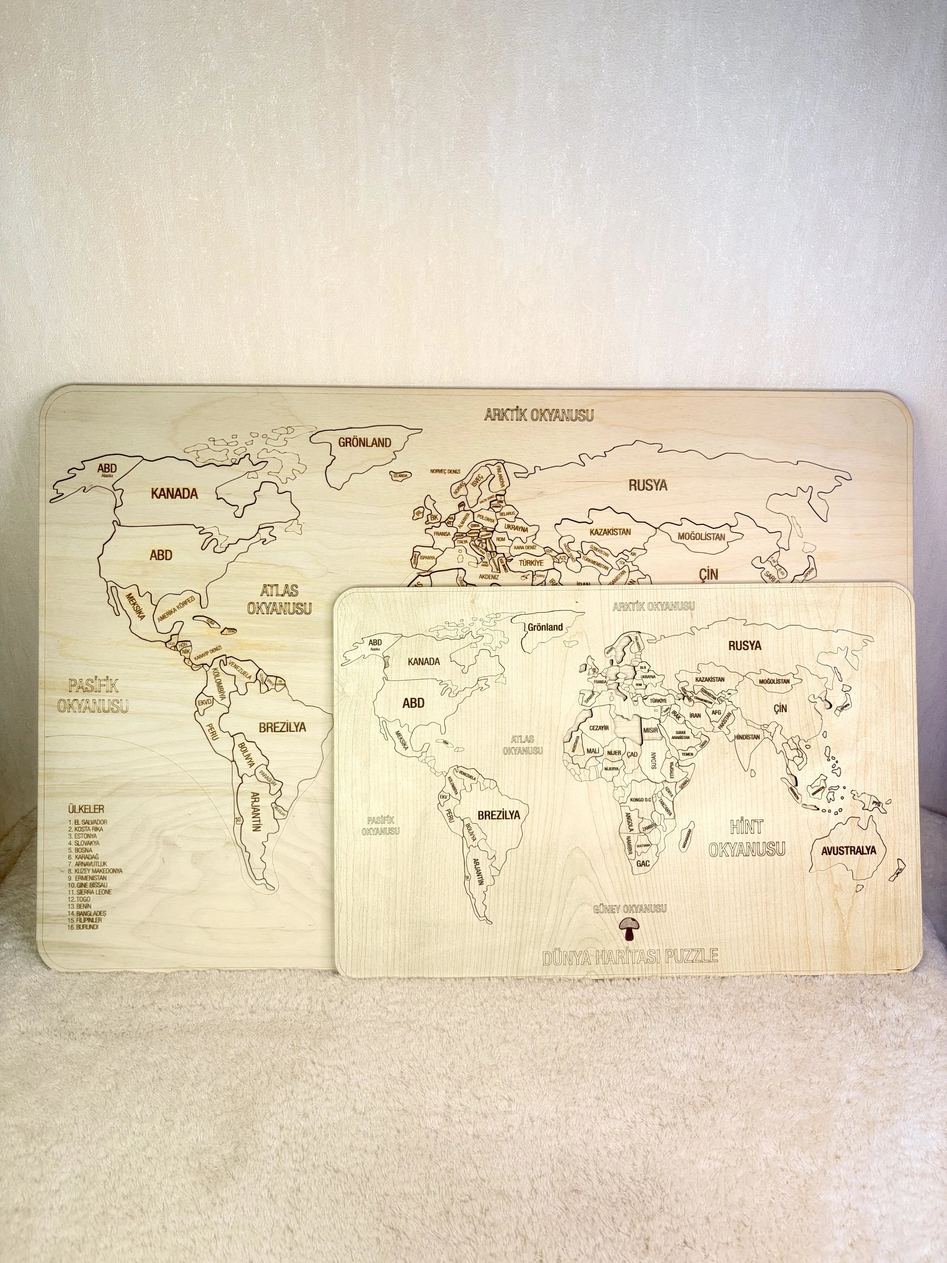 Dünya Haritası Puzzle