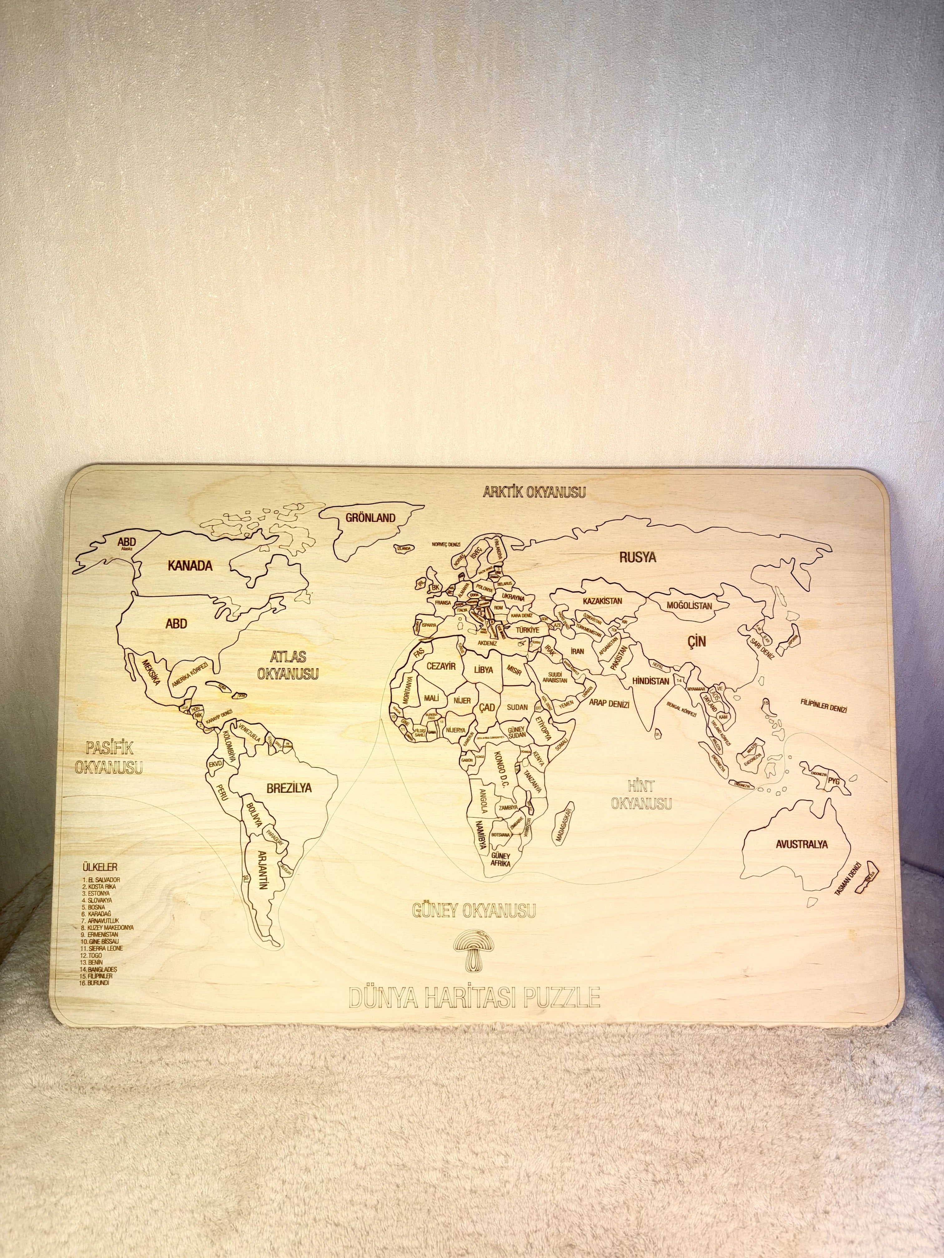 Dünya Haritası Puzzle