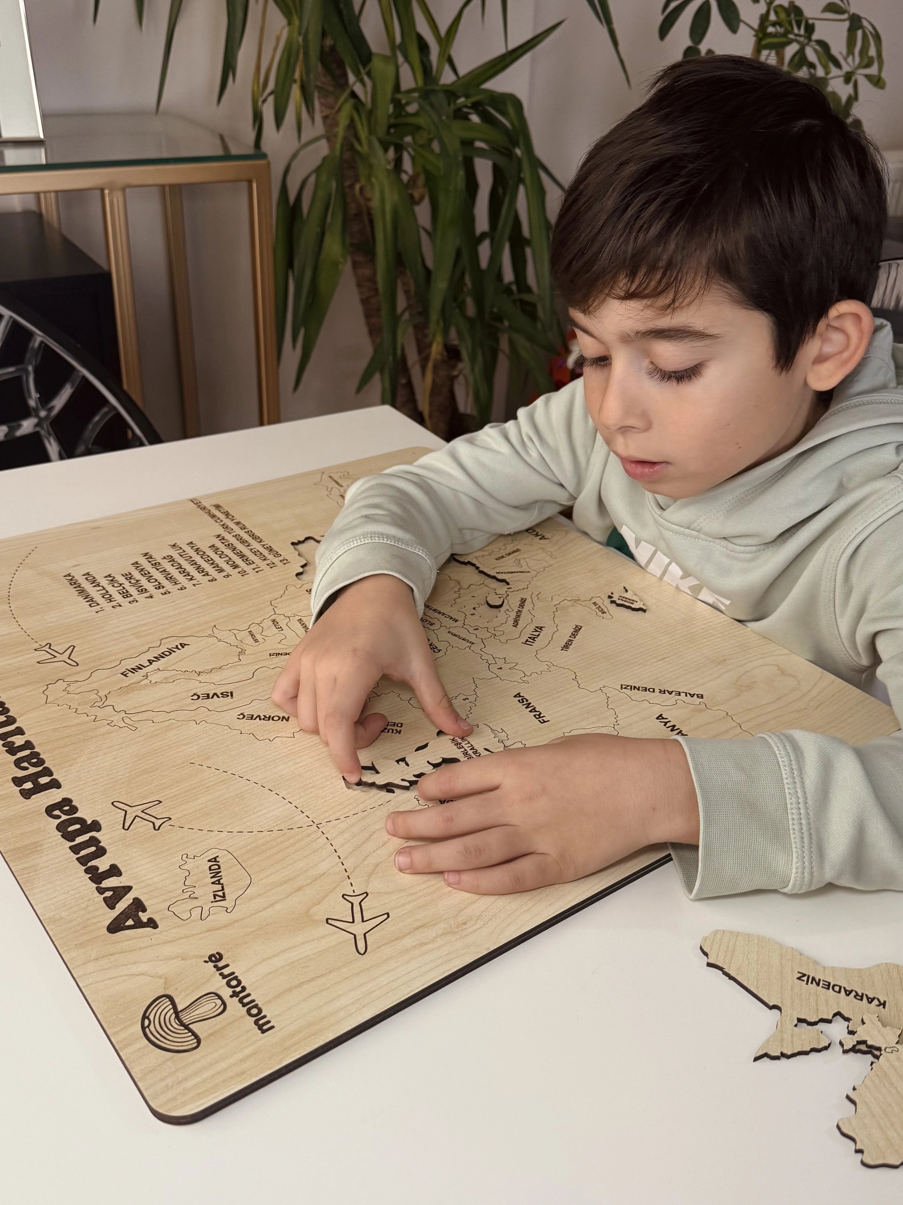 Avrupa Haritası Puzzle