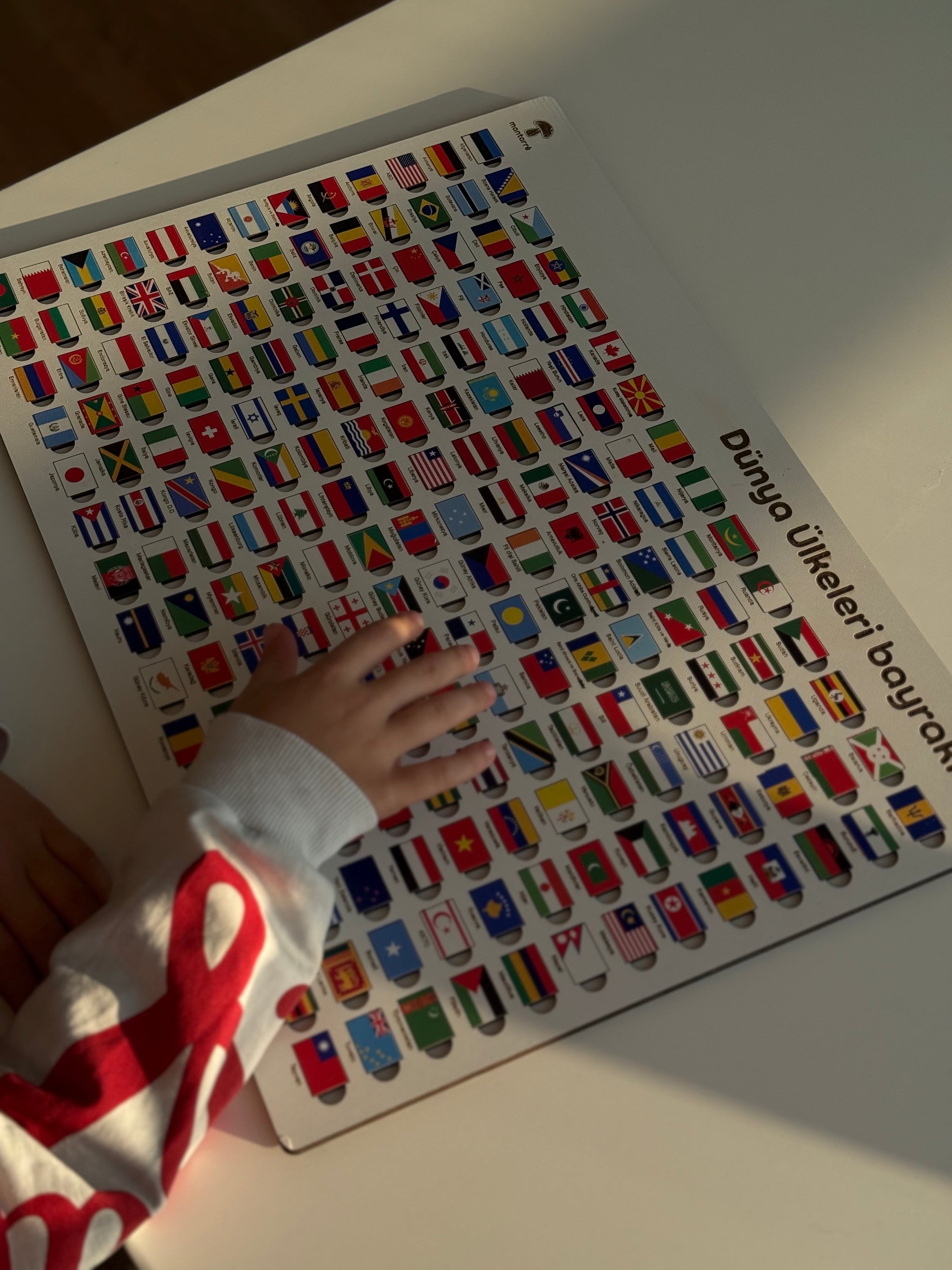 Dünya Ülkelerinin Bayrakları Puzzle