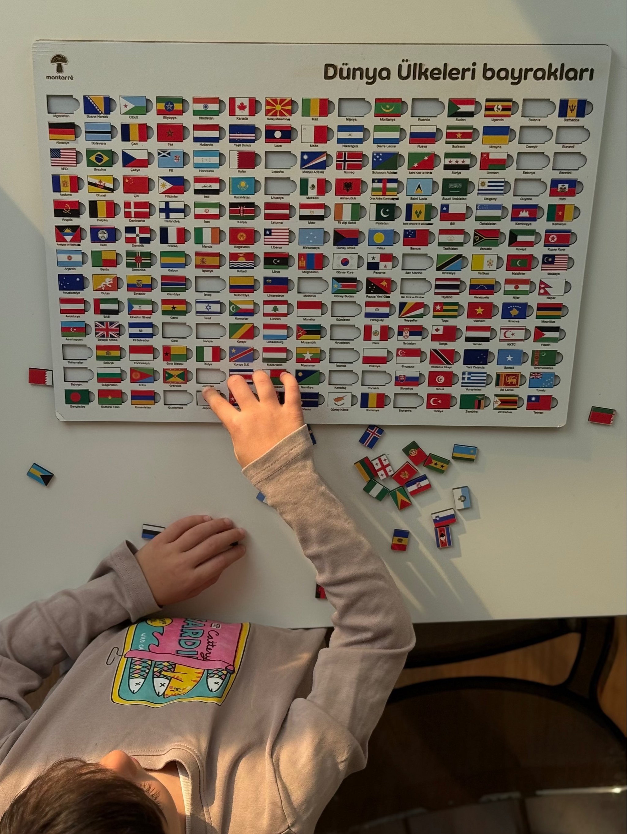 Dünya Ülkelerinin Bayrakları Puzzle
