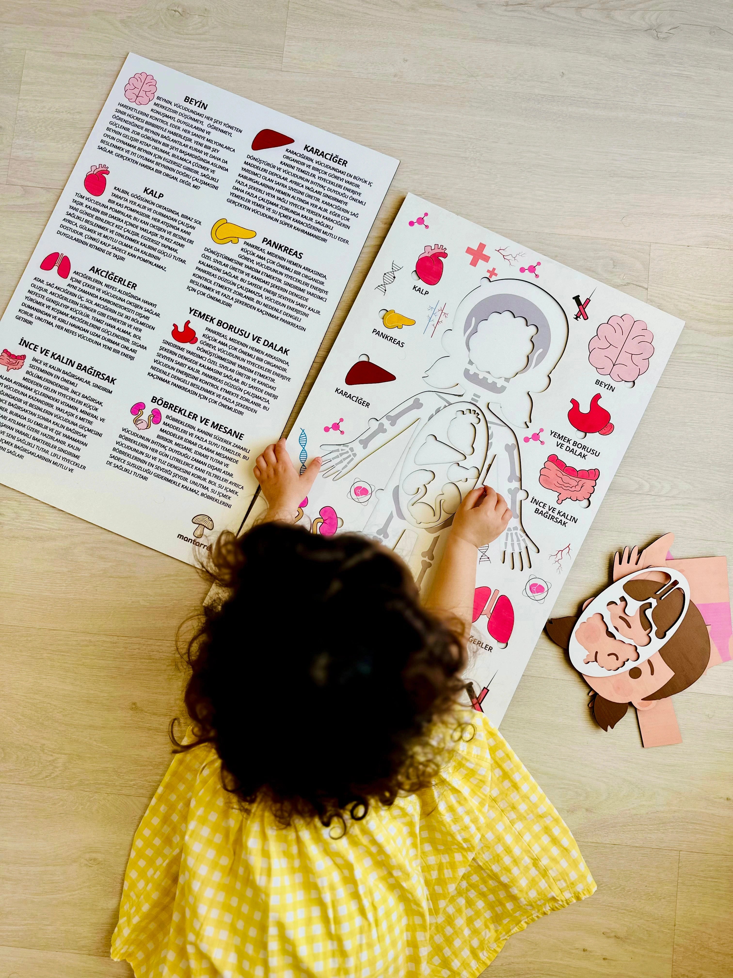 Montessori Çocuk Anatomi Puzzle'ı